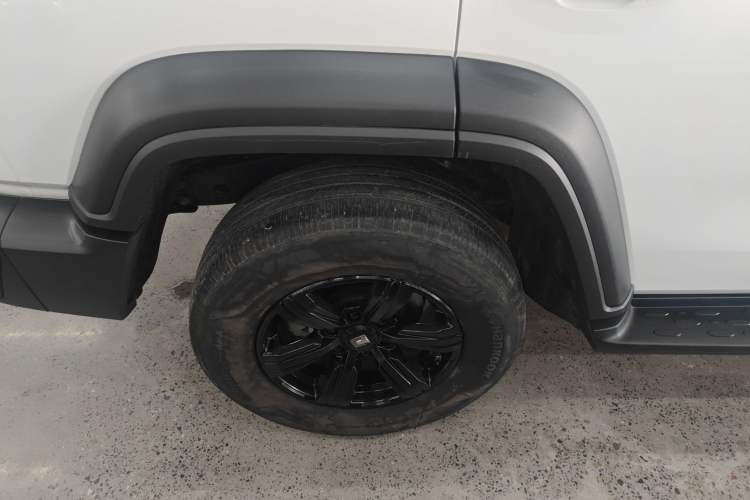 Used Tank 300 2024 2.0T Conqueror