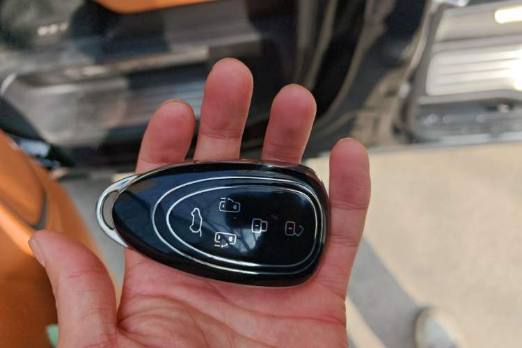 Used Wey Gaoshan 2023 Four-Wheel-Drive Executive Extended Version Vehicle Key
