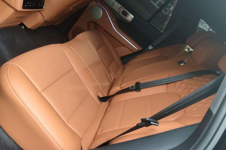 Used Tank 700 New Energy 2024 Hi4-T Extreme Edition Left Rear Seat