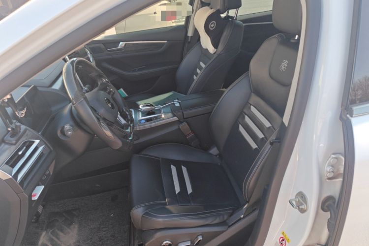 Used BYD Qin Pro New Energy 2018 EV500 Smart Connect Elite Model Left Front Seat