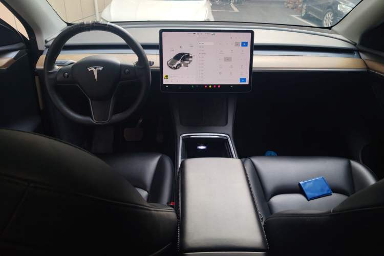 Used Tesla Model Y 2021 Standard Range Rear-Wheel Drive Version
