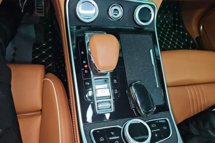 Used Hongqi H9 2020 2.0T Smart Connect Flagship Edition