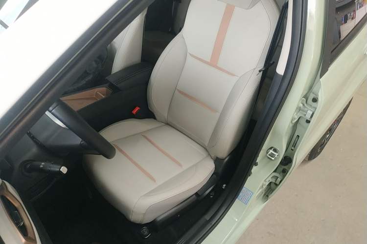 Used SOL E10X 2022 Flower Fairy Style Baby's Breath
