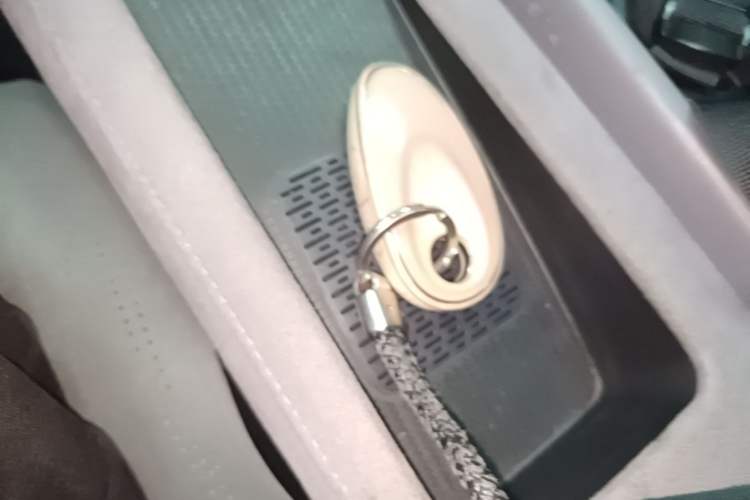 Used VOYAH PASSION 2024 PHEV Four-Wheel Drive Ultra-Long Range Executive Edition