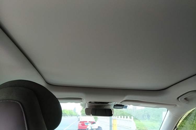 Used Leapmotor C11 2021 Deluxe Edition Headliner