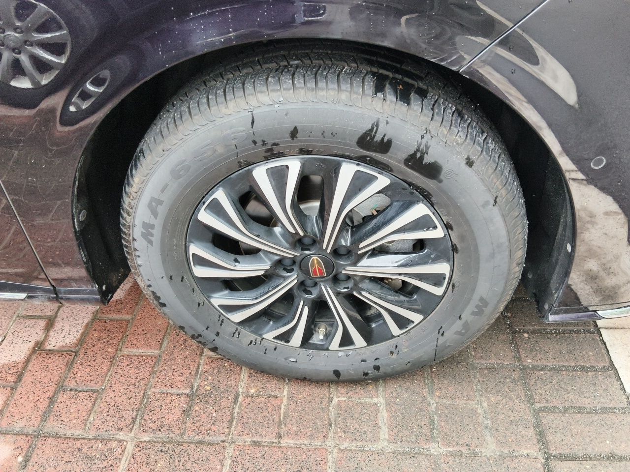 Hongqi HQ9 PHEV 2024 2.0T Four-Wheel Drive Luxury Edition — снимка 8