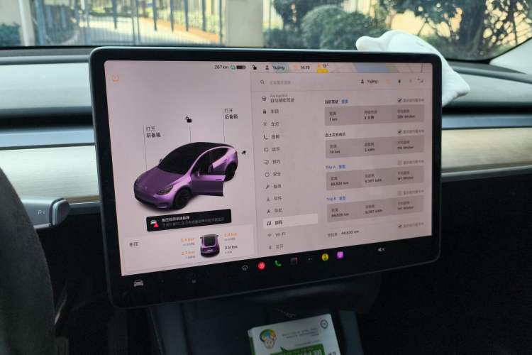 Used Tesla Model Y 2021 Standard Range Rear-Wheel Drive Version
