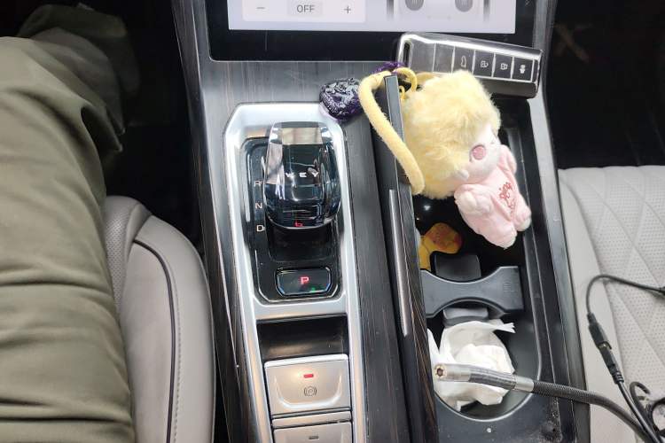 Used Wey Latte DHT 2022 1.5T DHT Extra-Large Cup
