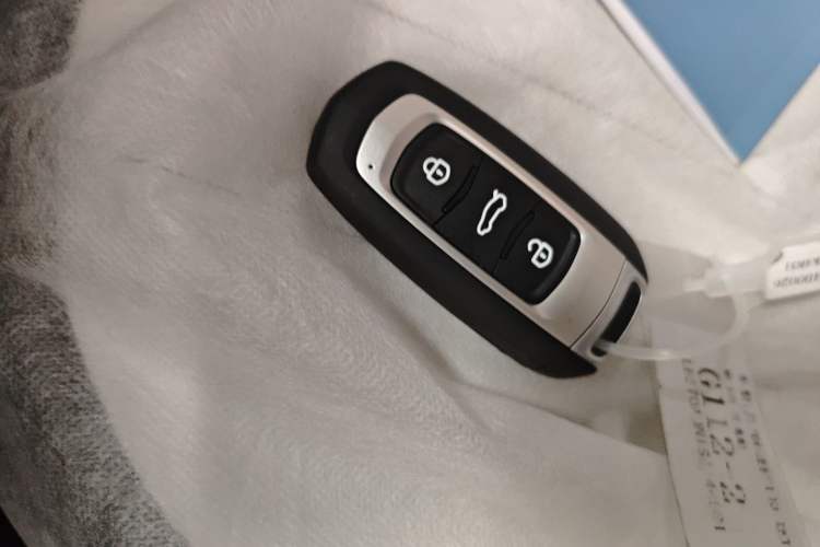 Used Geely Galaxy Panda 2025 210km Panda Rider
