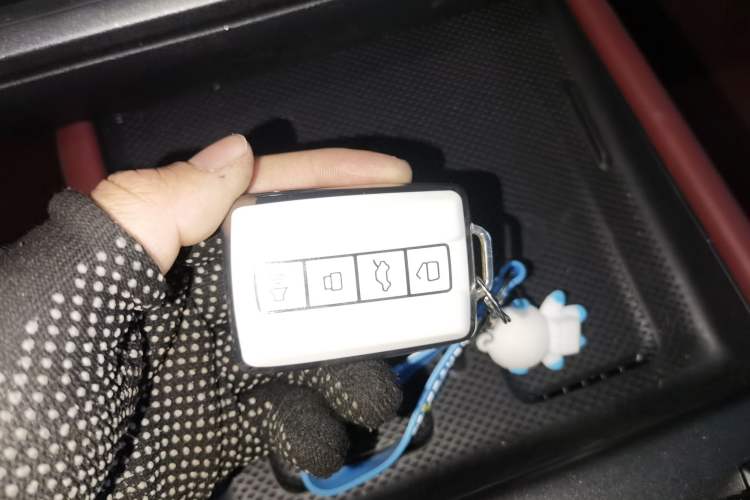 Used Tank 300 New Energy 2025 Hi4-T