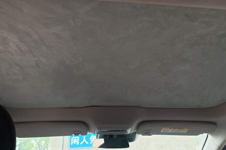Used XPeng P7 2022 586E Headliner