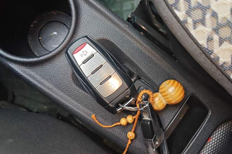 Used ORA White Cat 2020 305 km Luxury Version