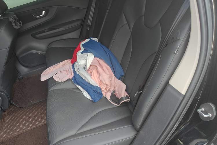 Used Hongqi E-QM5 2023 620km PLUS