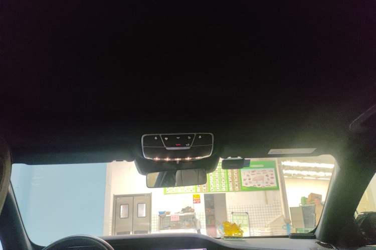 Used Mercedes-Benz S-Class 2020 S 350 L Business Class Ultimate Edition Headliner