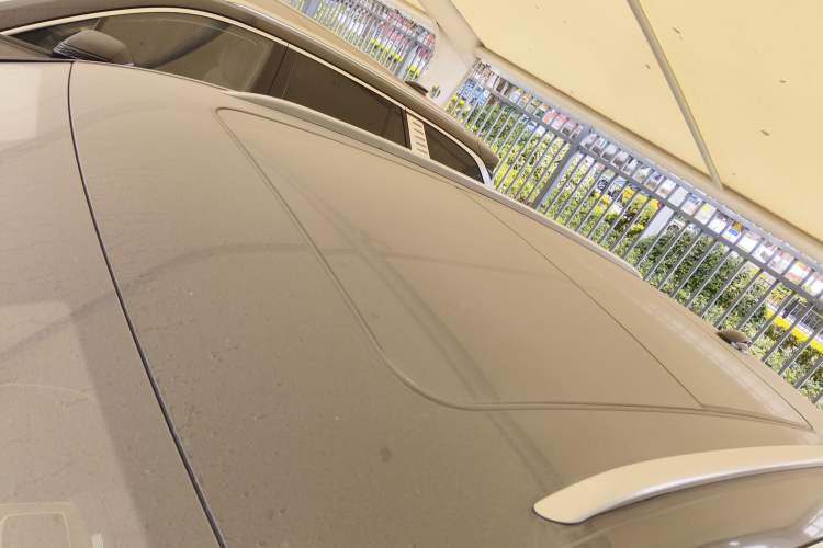 Used Hongqi E-HS9 2021 460 km Range Flagship Edition Six-Seater