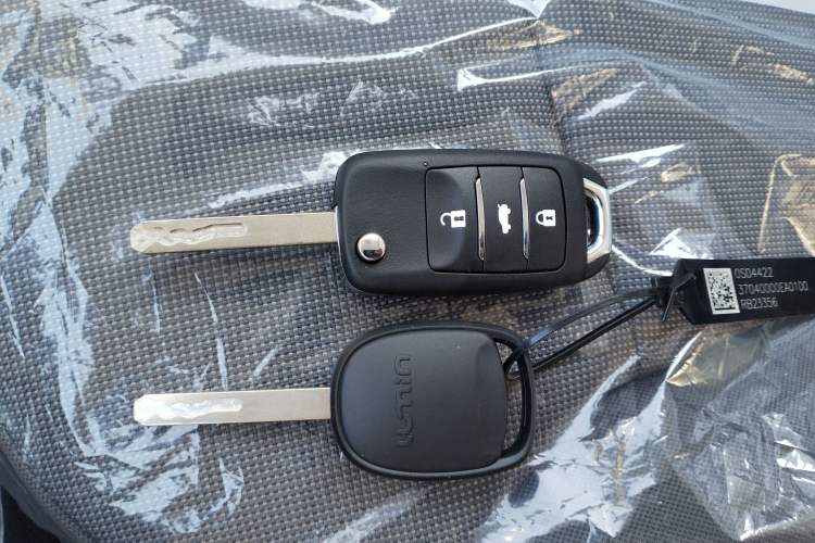 Used Qiyuan Lumin 2025 205 km Xiangqin Version