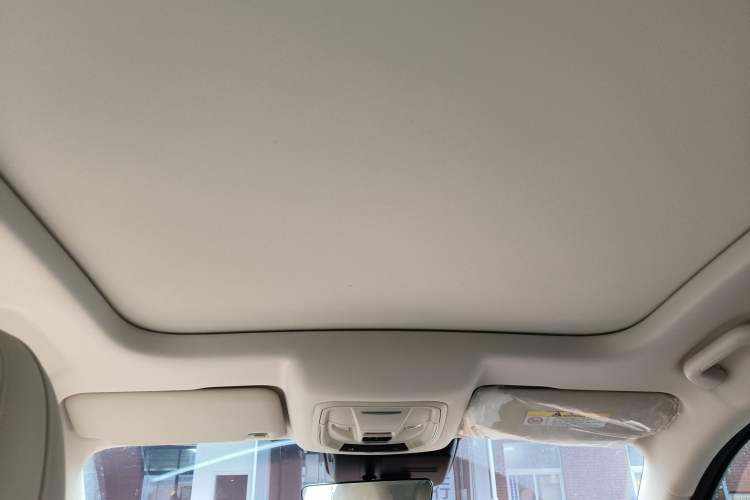 Used ORA Good Cat 2024 401 km Luxury Version Headliner