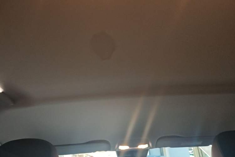 Used Hongqi E-QM5 2022 431 km Charge & Enjoy Edition Headliner