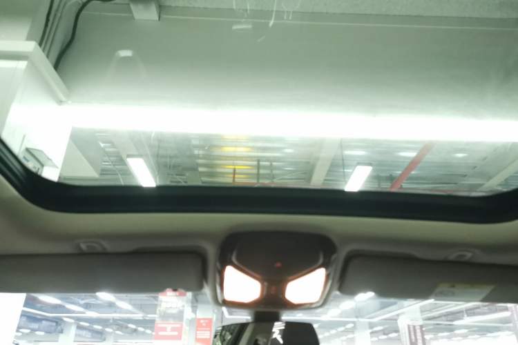 Used BMW 5 Series New Energy 2020 530Le Luxury Package Headliner