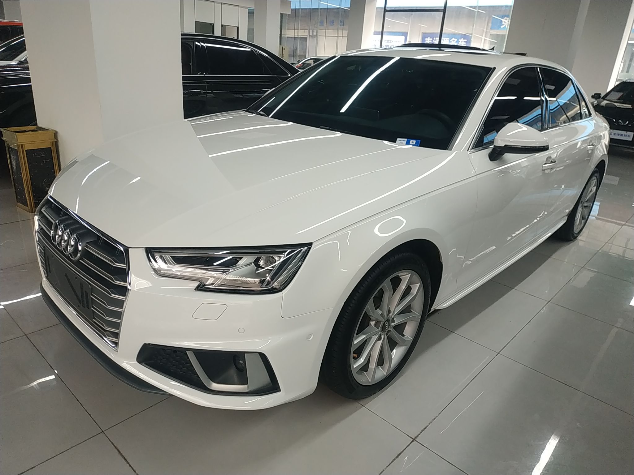 Parte inferior delantera