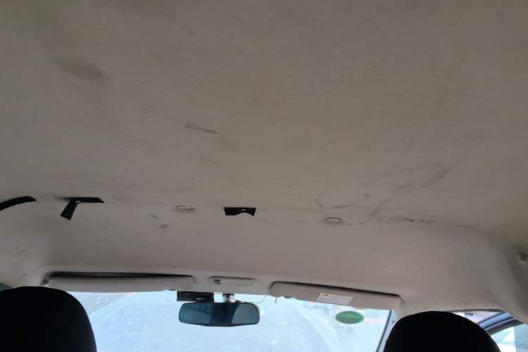 Used FORTHING Lingzhi 
