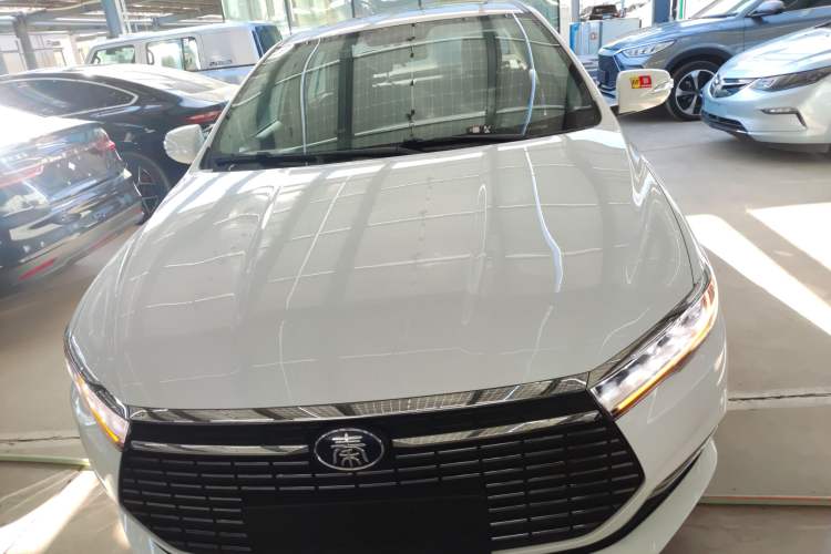 Used BYD Qin New Energy 2019 High-Range Luxury Model
