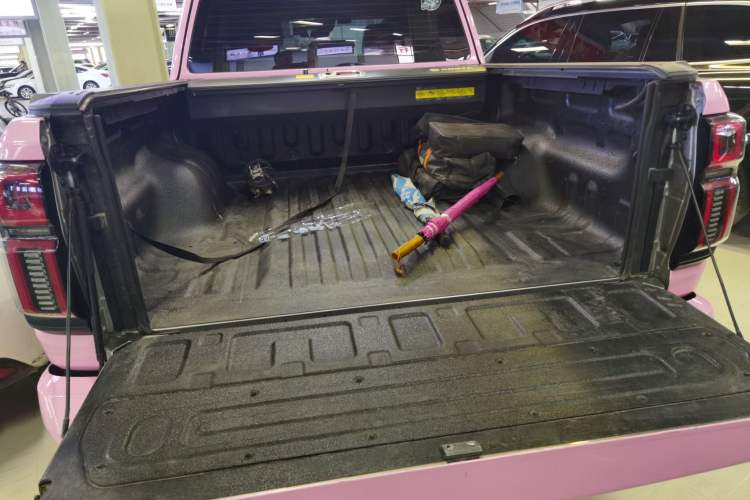 Used Great Wall Shanhai Poer Hi4-T 2025 Hi4-T Global Edition Trunk