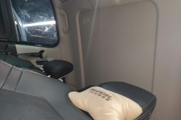 Used Haval DARGO 2024 2.0T DCT Chinese Rural Dog Edition
