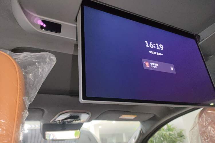 Used Wey Gaoshan 2025 Four-Wheel Drive Alpine 8 Headliner