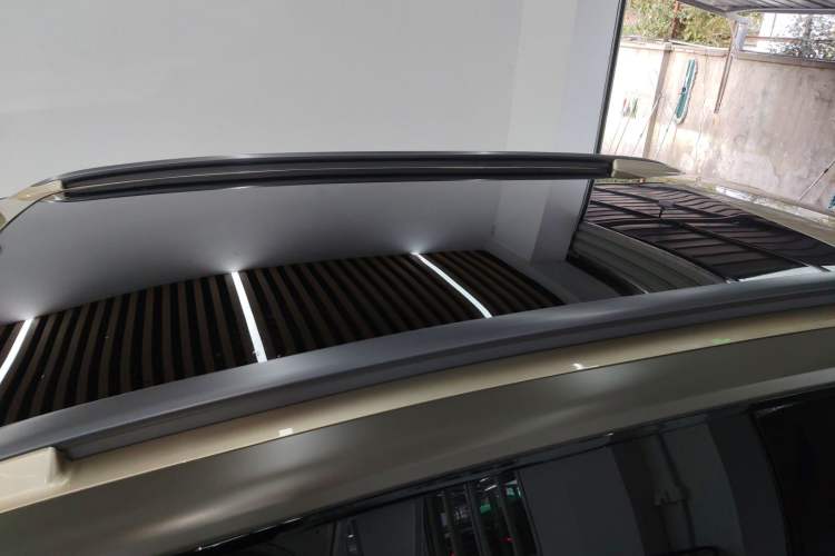 Used smart #5 2024 Jungle Realm Limited Edition