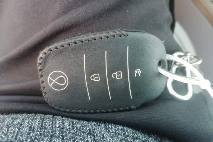 Used Denza Denza 2018 450 Base Version
