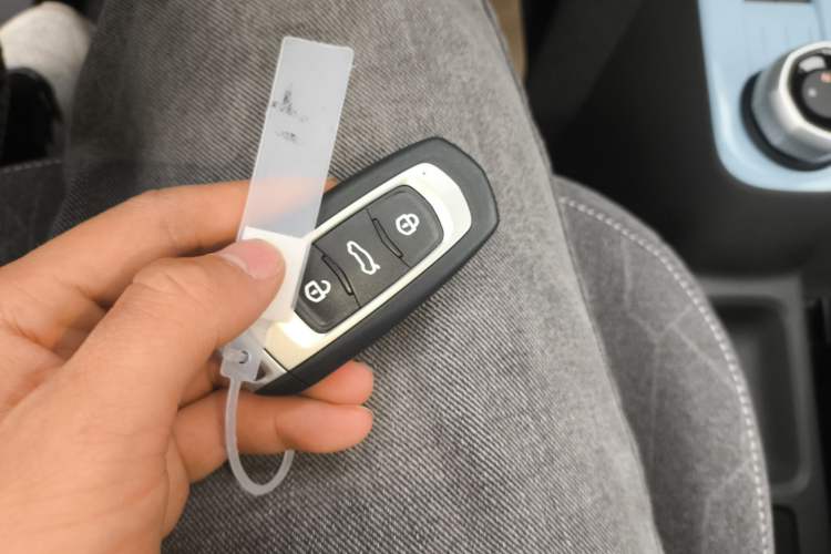 Used Geely Galaxy Panda 2024 Panda Mini 200km Endurance Bear