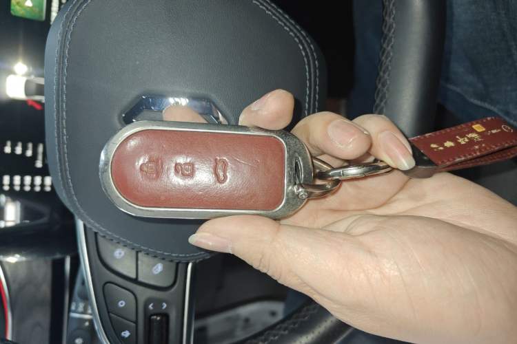 Used Hima AITO M5 2022 Range-Extended Rear-Drive Standard Version Vehicle Key