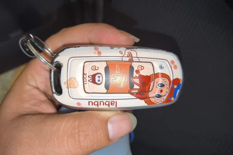 Used Geely Galaxy Panda 2023 Panda Mini 200km Endurance Bear