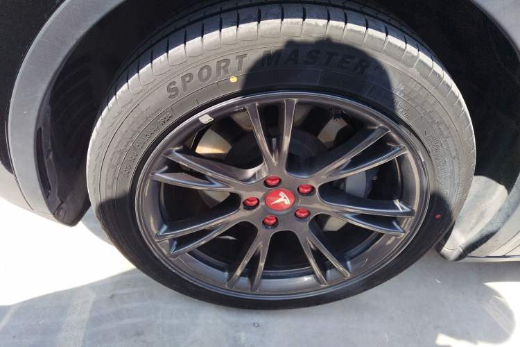 Used Tesla Model Y 2024 Rear-Wheel-Drive Version