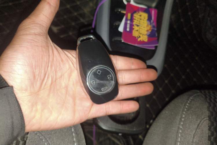 Used Leapmotor T03 2021 400 Lite Edition - Lithium-Ion Battery
