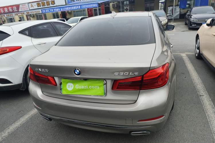 Used BMW 5 Series New Energy 2020 530Le Luxury Package
