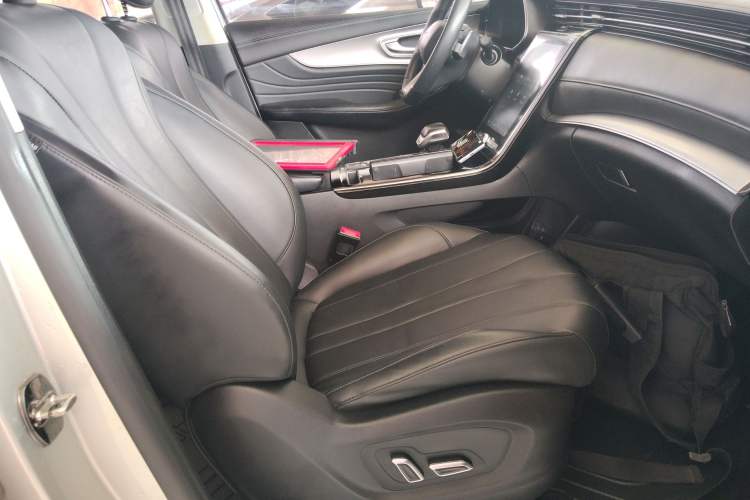 Used Roewe RX5 eMAX 2020 500 PHEV 4G-Connected Luxury Edition Right Front Seat