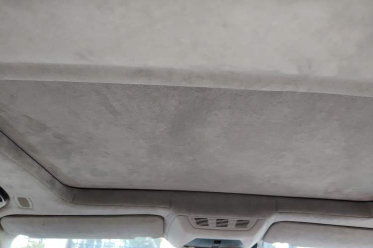 Used BMW 7 Series 2010 760Li Headliner