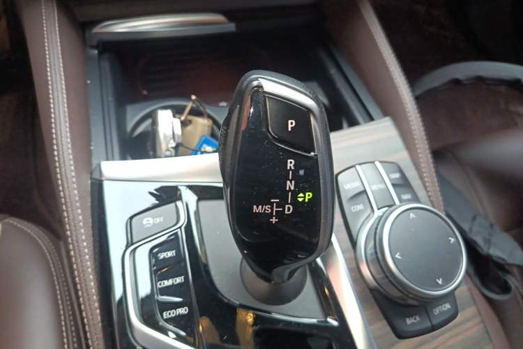 Used BMW 5 Series 2019 530Li Leading Model Luxury Package Gear Lever