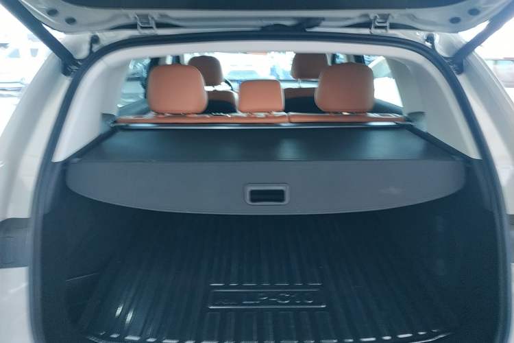 Used Leapmotor C10 2024 210 LiDAR Version