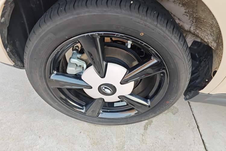 Used ORA Good Cat 2024 401 km Luxury Version