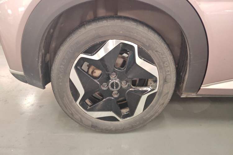 Used BYD Dolphin 2021 405 km Fashion Edition Right Rear Wheel Hub