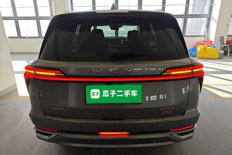 Used Wey Lanshan 2023 Four-Wheel Drive Ultra-Long Range Version
