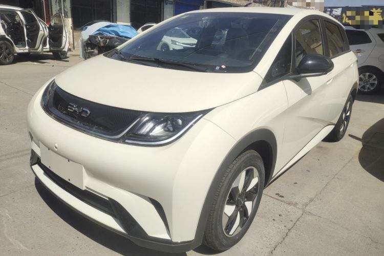 Used BYD Dolphin 2025 420km Free Edition