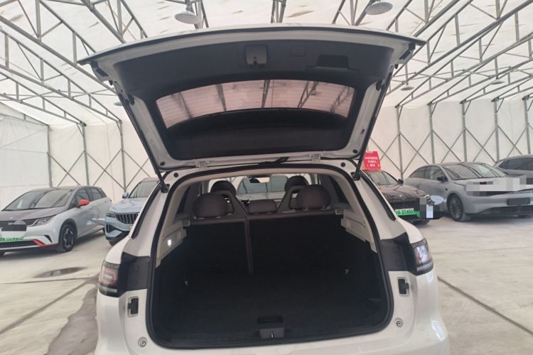 Used Leapmotor C11 2023 Pure Electric 500 Smart Edition