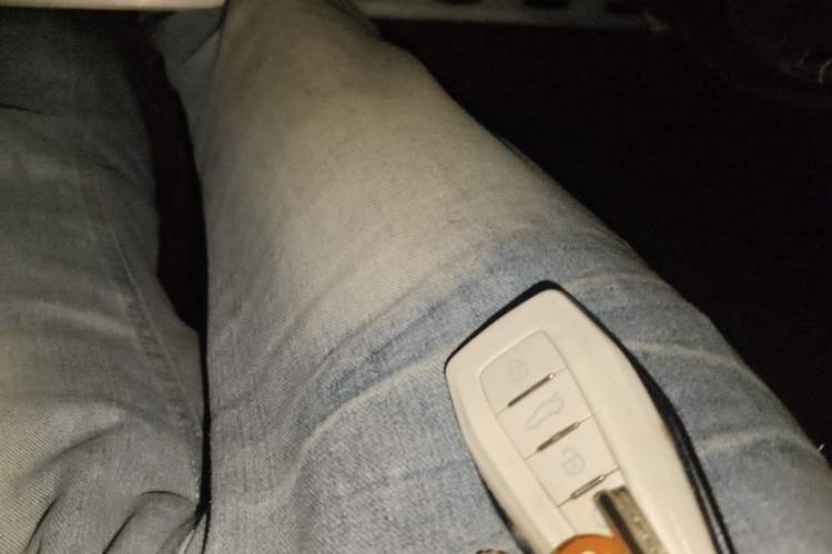 Used Geely Auto Monjaro L 2024 2.0TD High-Power Automatic Two-Wheel Drive Skyline Edition