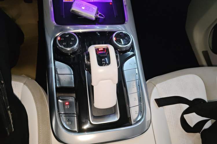 Used Cyberspace Tank 300 2021 2.0T Cyber Tank
