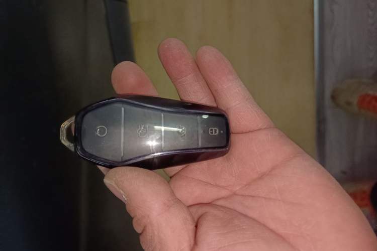 Used BYD Dolphin 2024 Honor Edition 420km Fashion Version