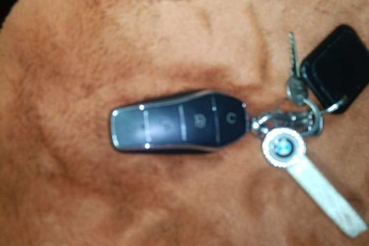 Used BYD Dolphin 2021 405 km Fashion Edition
